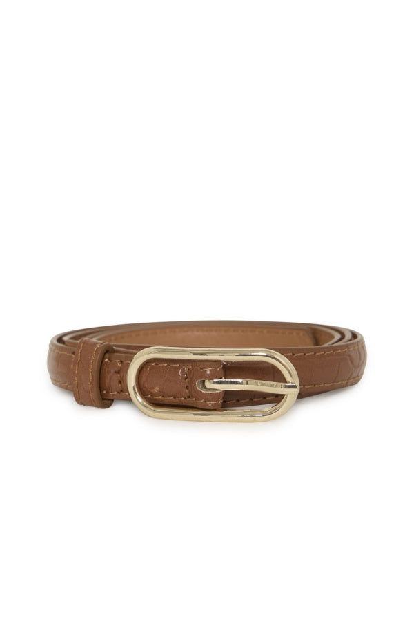 Aurora Belt