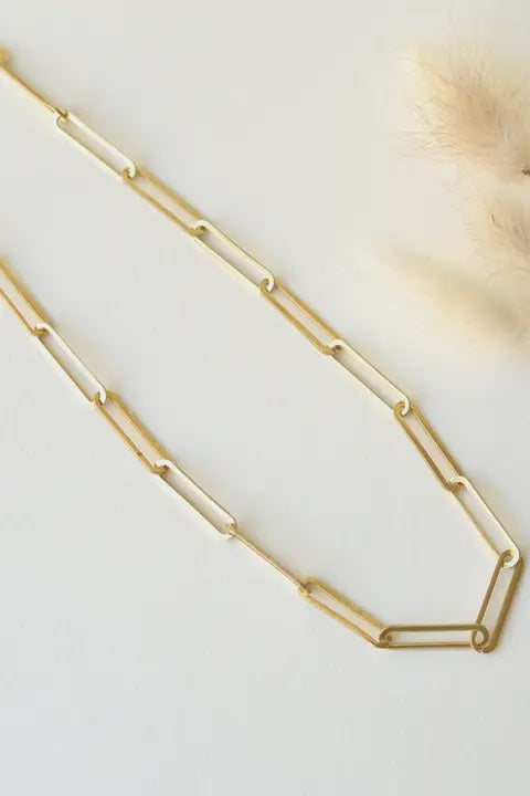 Gold chain necklace on a light background with dried plants