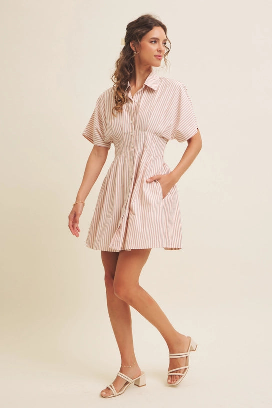 Striped Cinch Waist Mini Dress