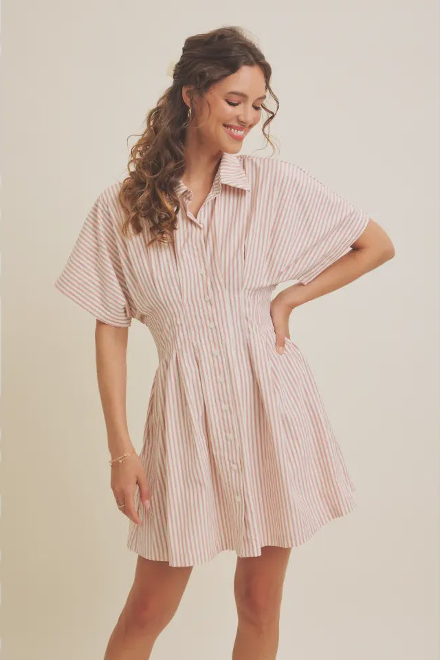 Striped Cinch Waist Mini Dress