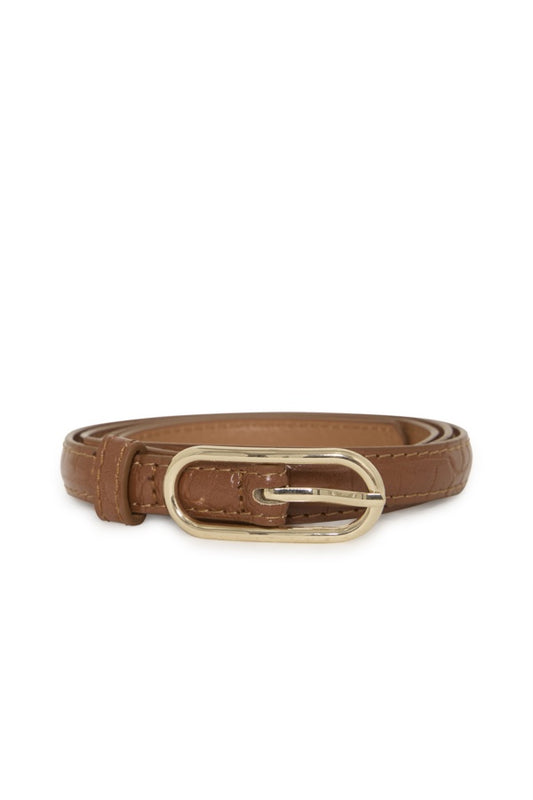 Aurora Belt