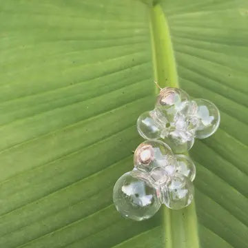 Micro Glass Bubble Earring w/ Pearl
