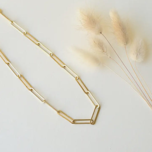Gold chain necklace on a light background with dried plants