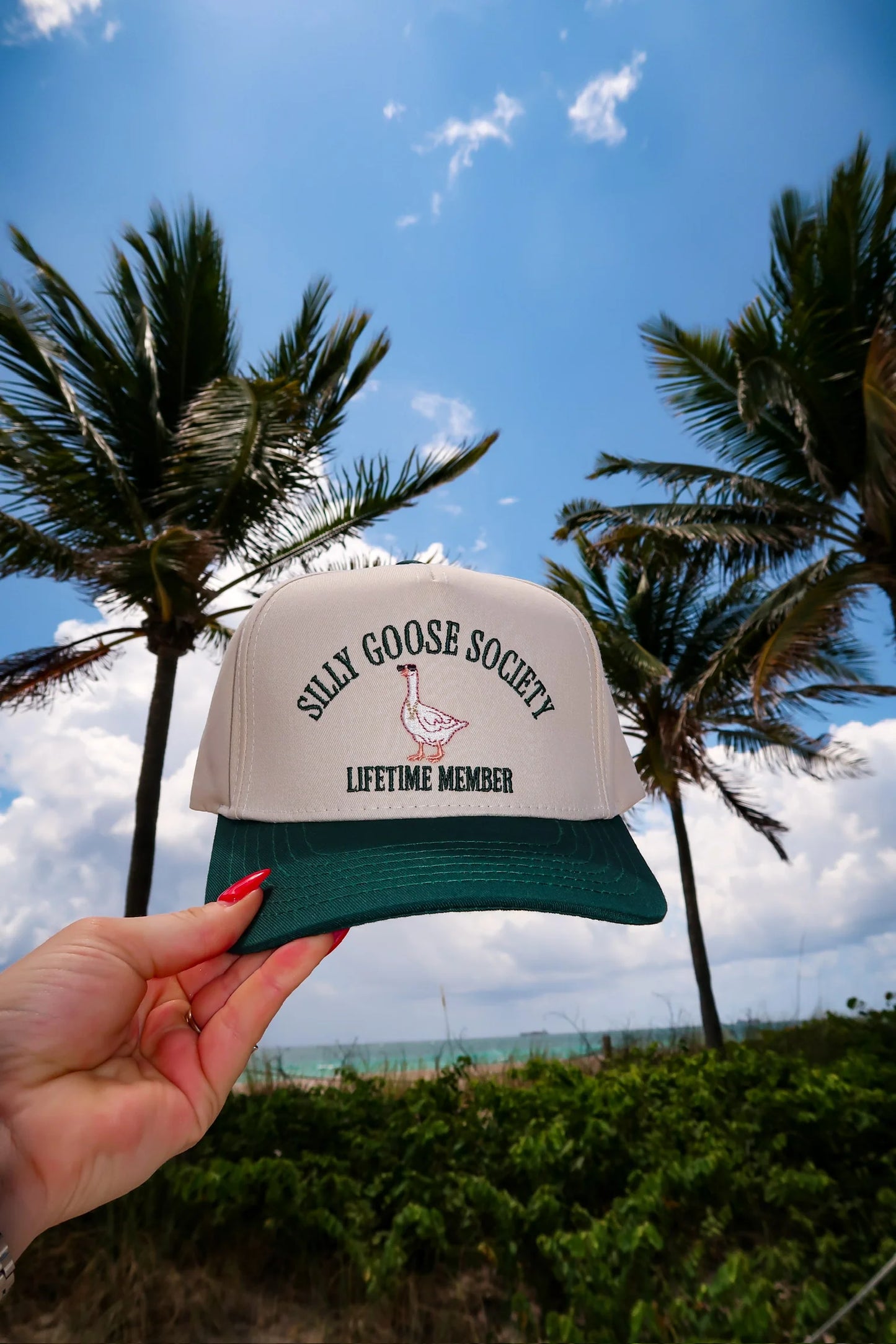 Cap with 'Silly Goose Society Lifetime Member' text held in front of palm trees and blue sky.