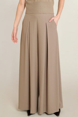 A model wearing high-waisted, wide-leg pleated trousers in a taupe-beige color, paired with a matching top, shown from the waist down against a neutral studio background.