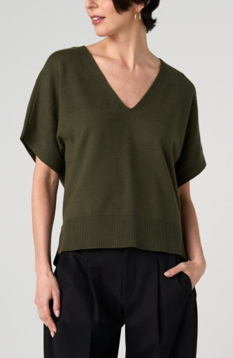 Short Sleeved V-Neck Dolman Popover